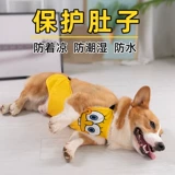 Бандаж пупочный, летнее тонкое дудоу, дождевик, жилет