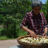 头 蕌 蕌 蕌 蕌 蕌 蕌 蕌 蕌 蕌 蕌 蕌 蕌 蕌 蕌 饭 蕌 蕌 蕌 头 头 头 250g Бесплатная доставка