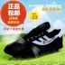 Giày bóng đá đôi sao chính hãng giày vải cao su móng tay giày bóng đá trẻ em giày bóng đá đôi sao một b giày bóng đá - Giày bóng đá