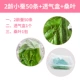 2 -year -seld silkworm Baby 50+Air -Breathable Box+шелковица листья