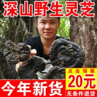 Новые товары Guangxi Wild Ganoderma lucidum non -1 Catties of Natural Purple Ganoderma Special Black Ganoderma Spore Powder 250g