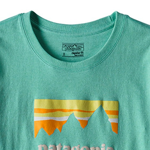 Patagonia Battanian короткая