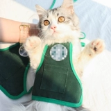 Шарф, фартук, слюнявчик