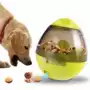 Chó đồ chơi câu đố tumbler rò rỉ thực phẩm bóng Teddy Goldenhair mèo rò rỉ thực phẩm thiết bị thức ăn chậm Pet chó cung cấp - Mèo / Chó Đồ chơi đồ chơi cho thú cưng