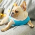 Net red dog pháp luật chiến đấu ngắn béo nhỏ chó nhỏ vest mỏng Pháp quần áo bulgie Pháp mùa xuân và mùa thu thủy triều mới - Quần áo & phụ kiện thú cưng