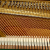 Nhật Bản nhập khẩu đàn piano cũ Yamaha YUS YUX YUA gạo trở lại đàn piano chơi cao cấp - dương cầm yamaha np30 dương cầm