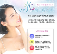 Импорт и экспорт документов belulu hikari