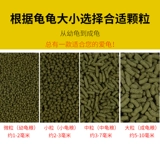 Черепаха маленькая креветка сухой корм