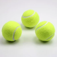 Mới phục vụ trò chơi trường trung học cơ sở đồ chơi đặc biệt đàn hồi cao phục hồi quần vợt bóng thiết bị trẻ em 3 - Quần vợt vợt tennis siêu nhẹ