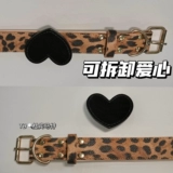 Оригинальная дикая собачья собачья узора в диком городе, любящий воротнич, средне -ориентированную собаку может быть заменена