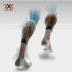 X-bionic bionic bê bộ chức năng phụ kiện nhanh chóng làm khô nén xà cạp chạy đi xe đạp tập thể dục marathon nam giới và phụ nữ vớ ống chân Bảo vệ chân