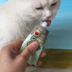 Malt Bear Đức Petive Life Pitila Cat Vitamin 50g Miễn phí vận chuyển 19.12 - Cat / Dog Health bổ sung Sữa cho chó con mất mẹ Cat / Dog Health bổ sung
