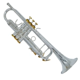 Оригинальный импортированный баха-труба инструмент LT190S-88 снижен B-регулировку с золотой кнопкой.