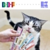 Thú cưng Beethoven Lễ hội Nhật Bản Huyền thoại Mèo Thịt Bùn Dinh dưỡng Paste Sữa Bánh mèo Ăn vặt Mèo trẻ Mousse - Đồ ăn nhẹ cho mèo thức ăn chó mèo Đồ ăn nhẹ cho mèo