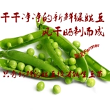 Сухой гороховой зеленый бобы Северо -восточный флаг Jilin Farm Self -плата