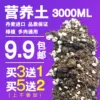 Товары от 肉丝炮弹