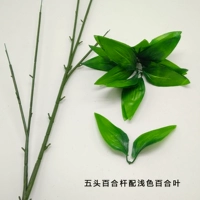 Пять голодов с лилией с 20 светозамирированными лилиями