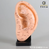 Ключ Чонг 鍙嶅 弽妯 弽妯 弽妯 瀷 阍堢 儴 儴 嶅 皠 嬮 嬮 儴 囧 囧 囧 囧 ┐ 妯 妯 ā ā ā 儴 囧 囧