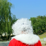 Санта -Клаус одежда для взрослых заправки Санта -Клаус Борьба с большим белой бородой детей для взрослых бесплатная доставка