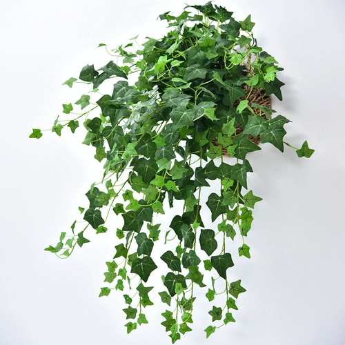 Моделирование changchun vine plant wanging wanging green slaining fake flower -vine