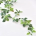 Mô phỏng hoa hồng lá cây mây điều hòa không khí trang trí ống giả hoa nho cây nho nhựa cây xanh lá cây xanh lá cây - Hoa nhân tạo / Cây / Trái cây