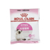 Pre-sales Royal Cat Food K36 Gói mẫu 50g * 10 Gói Mèo cho con bú Mang thai 40 Gói - Cat Staples làm thức ăn cho mèo Cat Staples