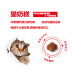 Royal kitten thực phẩm BK34 mèo sữa bánh 10 kg cat staple thực phẩm 14 tỉnh mang thai mèo nữ cho con bú hoàng gia mèo thực phẩm Hạt Whiskas cho mèo con Cat Staples