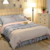 Váy ren đỏ mùa xuân và mùa hè cotton bed bốn mảnh cô gái trái tim công chúa gió cung rắn màu đôi bộ chăn ga gối đệm Bộ đồ giường bốn mảnh