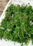 Ganmu jiangzi Fresh Wild Mujiangzi Guizhou Маунтин -перец