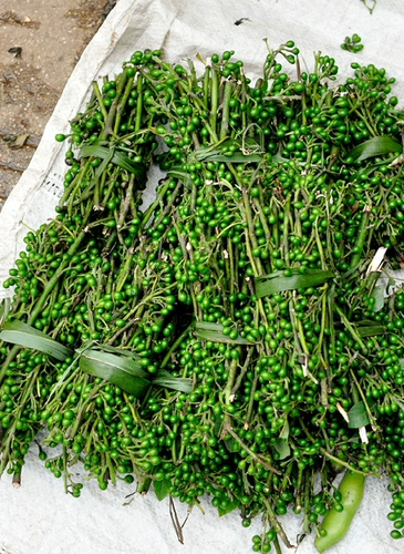 Ganmu jiangzi Fresh Wild Mujiangzi Guizhou Маунтин -перец