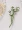 [Pembury] tập sách ~ hoa đô đốc hoa oải hương lá xanh lá hoa văn chương retro corsage trâm nữ - Trâm cài