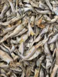 Замороженная сухой рыба из полиху, 500 г, откованные питательные вещества, собаки и кошачьи закуски, натуральная сушенная рыба из мяса сушена