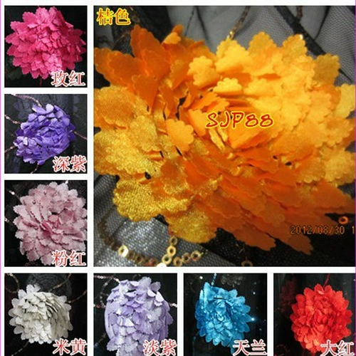 Новый современный танцевальный костюм BH Square Dance Dance Dance Dance Юбка латиноамериканцы D11