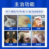Китайские таблетки ветеринарной медицины китайского скота, зверь, свинина, овца, курица, кошки, кошки и собаки, рыба, рыба