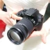 Ống kính chống rung SLR Canon EF-S 18-55mm IS STM 24-70 55-250 telephoto len máy ảnh canon Máy ảnh SLR