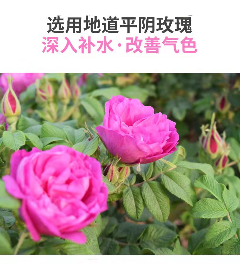 玫瑰护肤品原料