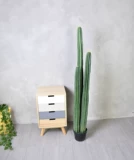 Классическая бесплатная доставка симуляция растения искусственная сказочная ладонь Бонсай холодный свет северный европейский стиль декоративная домашняя жизнь красавица