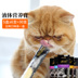 趣 魔法 thành một dải chất dinh dưỡng cho mèo 5 hộp 30 con mèo kem điều hòa tiêu hóa vỗ béo - Cat / Dog Health bổ sung sữa mèo Cat / Dog Health bổ sung