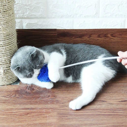 Кошка и игрушка несколько длинных стержней сказочная заглушка, толстая ягода, перо, котенок кухня, самоотверженное артефакт, кусая игрушка для кошек