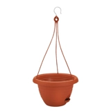 Wo Shi Gardening Pot Flower Pot Flower Survension Protted Plant Plant Hous