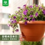 Wo Shi Gardening Pot Flower Pot Flower Survension Protted Plant Plant Hous