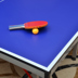 Đúp ngỗng đích thực bảng tiêu chuẩn bàn tennis đào tạo cạnh tranh có thể gập lại table tennis bảng home table tennis bảng bàn bóng bàn ngoài trời Bóng bàn