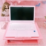 Cửa hàng bách hóa nữ Pink Notebook Nâng cao DIY Làm mát Máy tính đứng Màn hình đứng - Thiết bị sân khấu đèn nháy led