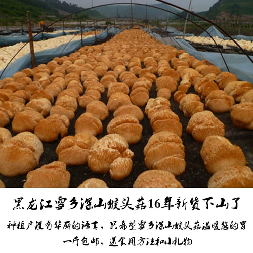 Heilongjiang Hailin Half Wild Hermogee Грибы северо -восток наполовину дикий Гермонд грибы сушены