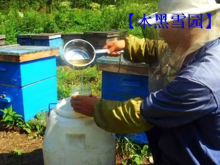 Shenshan Wild Cary Honey Farmers Self -продукция и зрелый сырой медовый мед.