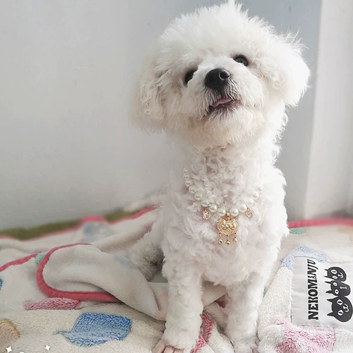 Колокольчик ручной работы, чокер, милое ожерелье из жемчуга, цепочка, аксессуар, домашний питомец, замок долголетия