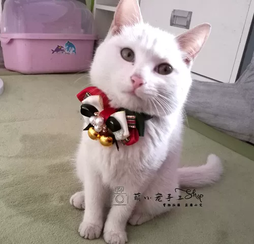 Праздничнная красная галстук-бабочка ручной работы с бантиком, колокольчик, чокер, аксессуар, домашний питомец, кот