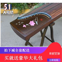 Jinyun guzheng bingqing yujie 01197