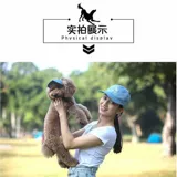 Шлем, милая брендовая шапка, кот, домашний питомец, семейный стиль, котенок