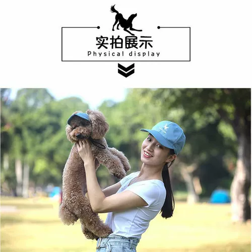 Шлем, милая брендовая шапка, кот, домашний питомец, семейный стиль, котенок